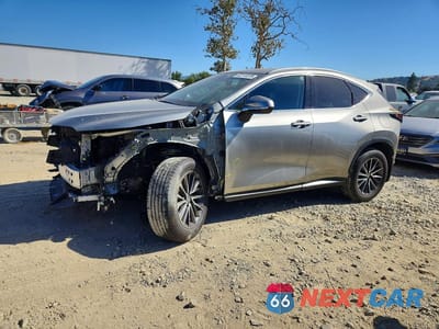 2024 LEXUS NX 250 BASE 2T2ADCAZ1RC012342 - główne zdjęcie licytacji z USA - miniatura