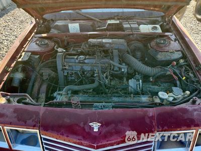 Zdjęcie 11 z 12 samochodu: 1982 DODGE 400 VIN:1B3BV45BXCG166759 - miniatura