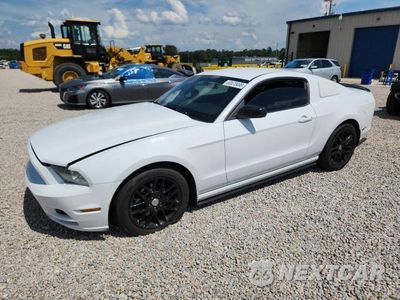 2014 FORD MUSTANG 1ZVBP8AM9E5211905 - główne zdjęcie licytacji z USA - miniatura