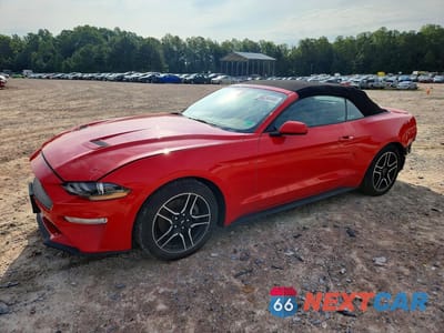 2021 FORD MUSTANG 1FATP8UH4M5111124 - główne zdjęcie licytacji z USA - miniatura