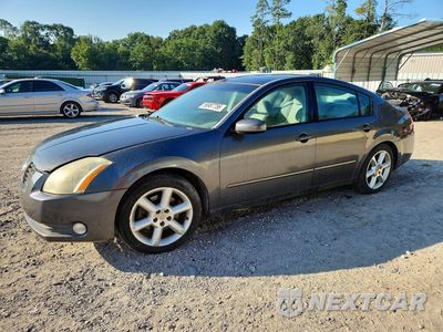 2005 NISSAN MAXIMA 3.5 SE 1N4BA41E45C850023 - główne zdjęcie licytacji z USA - miniatura