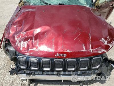 Zdjęcie 11 z 12 samochodu: 2022 JEEP COMPASS LIMITED VIN:3C4NJDCB8NT203252 - miniatura