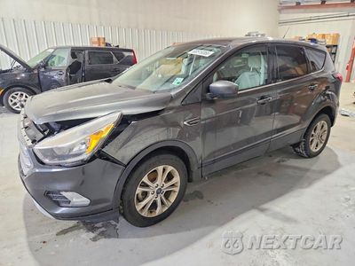 2019 FORD ESCAPE SE 1FMCU0GD5KUA21637 - główne zdjęcie licytacji z USA - miniatura