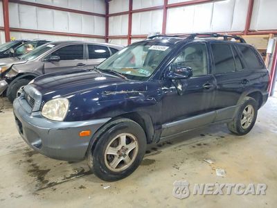 2004 HYUNDAI SANTA FE GLS KM8SC13D44U784987 - główne zdjęcie licytacji z USA - miniatura