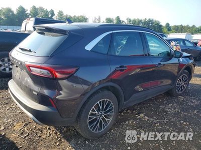 Trzecie zdjęcie samochodu z tyłu: 2023 FORD ESCAPE VIN:1FMCU0E12PUA81195 - miniatura