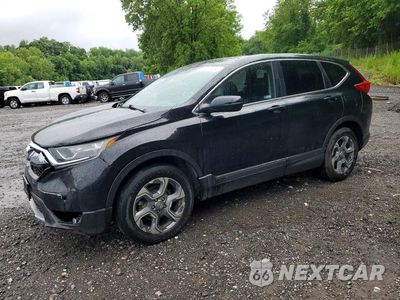 2019 HONDA CR-V EX 2HKRW2H58KH621784 - główne zdjęcie licytacji z USA - miniatura