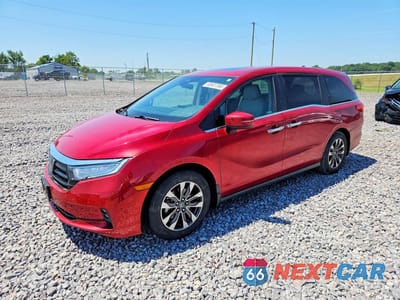 2024 HONDA ODYSSEY EXL 5FNRL6H63RB007159 - główne zdjęcie licytacji z USA - miniatura