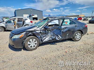 2009 TOYOTA CAMRY LE 4T4BE46K69R120080 - główne zdjęcie licytacji z USA - miniatura