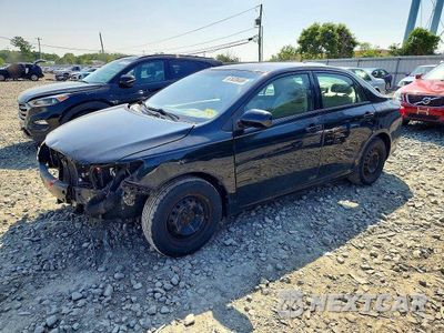 2009 TOYOTA COROLLA LE JTDBL40E59J051083 - główne zdjęcie licytacji z USA - miniatura