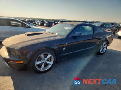 2009 FORD MUSTANG GT 1ZVHT82H195102397 - główne zdjęcie licytacji z USA - miniatura