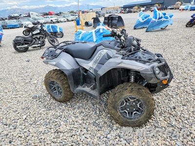 2026 HONDA RUBICON ATV 1HFTE4673TJ201650 - główne zdjęcie licytacji z USA - miniatura