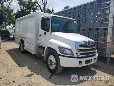 Czwarte zdjęcie samochodu z boku: 2020 HINO 338 BOX TRUCK VIN:5PVNV8JV5L4S59841 - miniatura