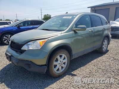 2009 HONDA CR-V EXL JHLRE48779C009858 - główne zdjęcie licytacji z USA - miniatura