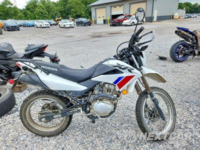 2025 HONDA XR150L E 3H1KD131XSD201472 - główne zdjęcie licytacji z USA - miniatura