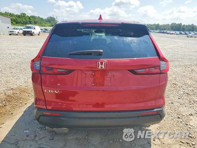 Zdjęcie 6 z 13 samochodu: 2024 HONDA CR-V EXL VIN:2HKRS3H74RH329269 - miniatura