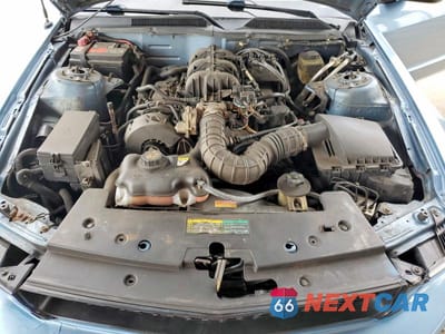 Zdjęcie 11 z 12 samochodu: 2005 FORD MUSTANG VIN:1ZVFT80NX55116387 - miniatura