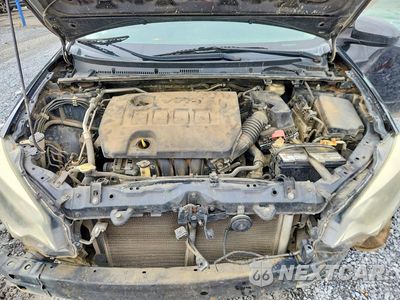 Zdjęcie 11 z 12 samochodu: 2016 TOYOTA COROLLA LE VIN:5YFBURHE3GP492623 - miniatura