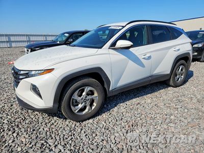 2023 HYUNDAI TUCSON SEL 5NMJBCAE8PH210138 - główne zdjęcie licytacji z USA - miniatura