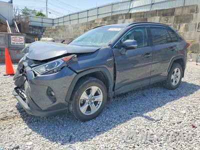 2020 TOYOTA RAV4 HYBRID XLE 2T3RWRFV0LW072068 - główne zdjęcie licytacji z USA - miniatura