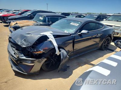 2020 FORD MUSTANG 1FA6P8TH8L5130031 - główne zdjęcie licytacji z USA - miniatura