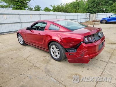 Drugie zdjęcie samochodu z przodu: 2014 FORD MUSTANG VIN:1ZVBP8AM4E5245721 - miniatura