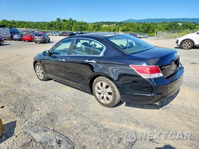 Drugie zdjęcie samochodu z przodu: 2010 HONDA ACCORD EXL VIN:5KBCP3F82AB002957 - miniatura