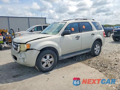 2009 FORD ESCAPE XLT 1FMCU03799KA36664 - główne zdjęcie licytacji z USA - miniatura