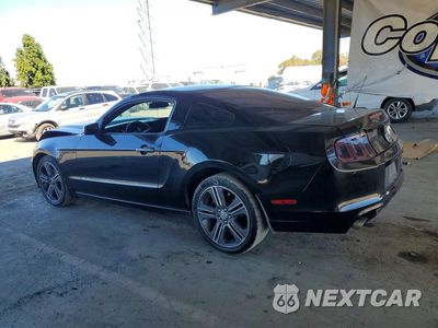 Drugie zdjęcie samochodu z przodu: 2014 FORD MUSTANG VIN:1ZVBP8AM5E5333287 - miniatura