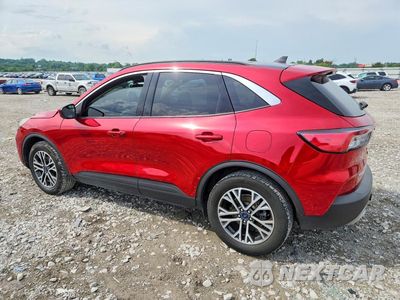 Drugie zdjęcie samochodu z przodu: 2020 FORD ESCAPE SEL VIN:1FMCU9H90LUB60686 - miniatura