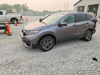 2022 HONDA CR-V EX 7FARW2H55NE030979 - główne zdjęcie licytacji z USA - miniatura