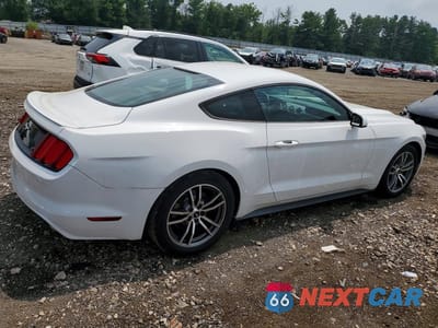 Trzecie zdjęcie samochodu z tyłu: 2017 FORD MUSTANG VIN:1FA6P8TH1H5256223 - miniatura