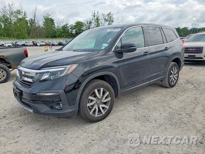2022 HONDA PILOT EXL 5FNYF6H51NB087548 - główne zdjęcie licytacji z USA - miniatura
