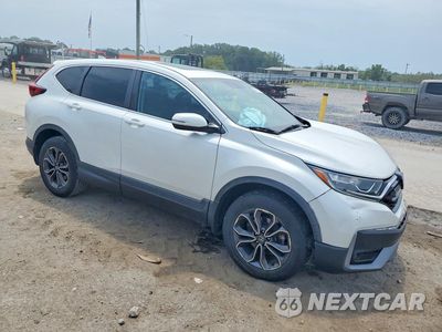 Czwarte zdjęcie samochodu z boku: 2020 HONDA CR-V EX VIN:2HKRW2H5XLH666601 - miniatura