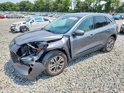 2022 FORD ESCAPE SEL 1FMCU9H90NUB36018 - główne zdjęcie licytacji z USA - miniatura