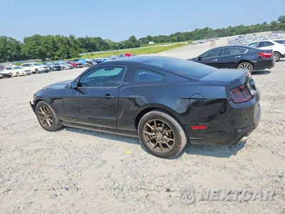 Drugie zdjęcie samochodu z przodu: 2014 FORD MUSTANG VIN:1ZVBP8AM2E5306094 - miniatura