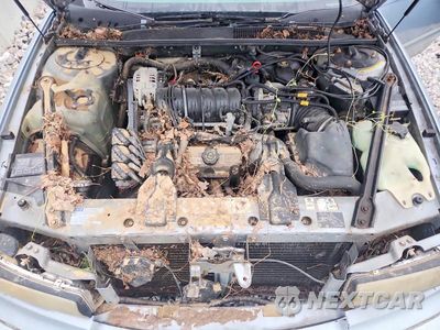 Zdjęcie 11 z 12 samochodu: 1996 BUICK REGAL CUSTOM VIN:2G4WB52K2T1427121 - miniatura