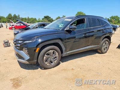 2025 HYUNDAI TUCSON BLUE KM8JBDD14SU290355 - główne zdjęcie licytacji z USA - miniatura