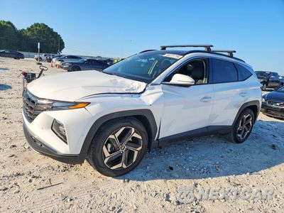 2024 HYUNDAI TUCSON LIMITED 5NMJE3DE6RH439827 - główne zdjęcie licytacji z USA - miniatura