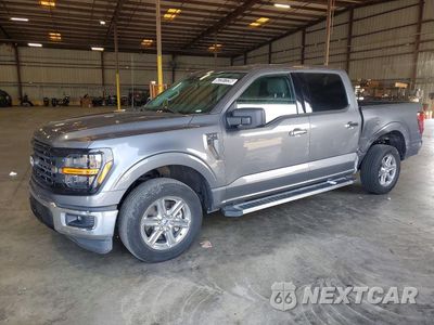 2025 FORD F150 XLT 1FTEW3K50SKE01182 - główne zdjęcie licytacji z USA - miniatura