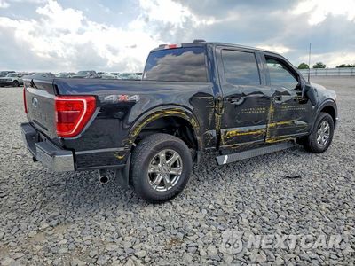 Trzecie zdjęcie samochodu z tyłu: 2021 FORD F150 SUPERCREW VIN:1FTFW1E51MKF13366 - miniatura