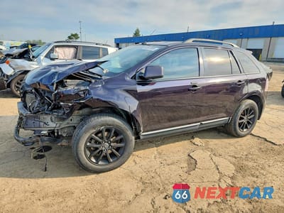 2007 FORD EDGE SEL 2FMDK38C77BB71313 - główne zdjęcie licytacji z USA - miniatura