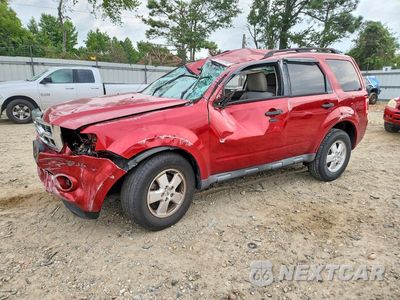 2012 FORD ESCAPE XLT 1FMCU0DG7CKA54649 - główne zdjęcie licytacji z USA - miniatura