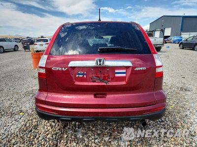 Zdjęcie 6 z 13 samochodu: 2011 HONDA CR-V EX VIN:5J6RE4H51BL009205 - miniatura