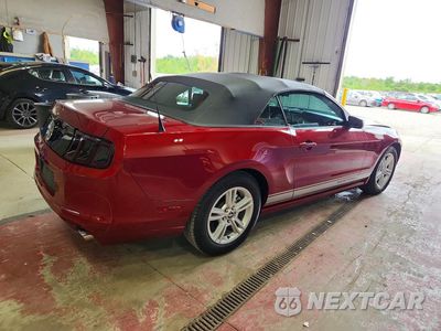 Trzecie zdjęcie samochodu z tyłu: 2014 FORD MUSTANG VIN:1ZVBP8EM0E5283585 - miniatura