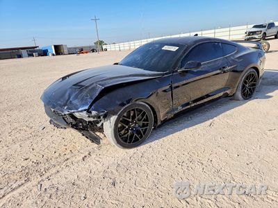 2021 FORD MUSTANG GT 1FA6P8CF9M5156010 - główne zdjęcie licytacji z USA - miniatura