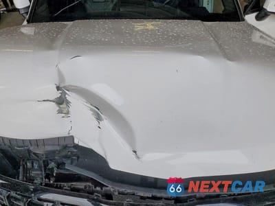 Zdjęcie 12 z 13 samochodu: 2025 KIA TELLURIDE EX X-LINE VIN:5XYP3DGC7SG580616 - miniatura