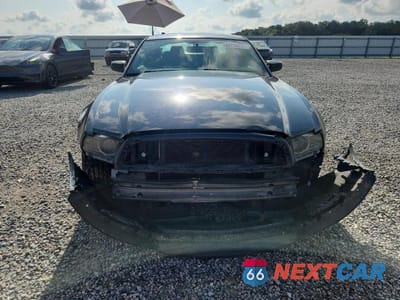 Piąte zdjęcie samochodu w środku: 2014 FORD MUSTANG VIN:1ZVBP8AM5E5321026 - miniatura