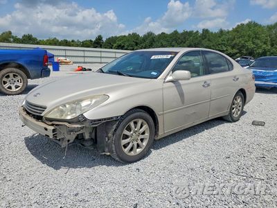 2002 LEXUS ES 300 JTHBF30G920076680 - główne zdjęcie licytacji z USA - miniatura