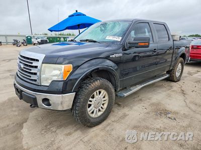 2014 FORD F150 SUPERCREW 1FTFW1EF3EKF43804 - główne zdjęcie licytacji z USA - miniatura