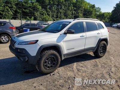 2016 JEEP CHEROKEE TRAILHAWK 1C4PJMBSXGW253903 - główne zdjęcie licytacji z USA - miniatura